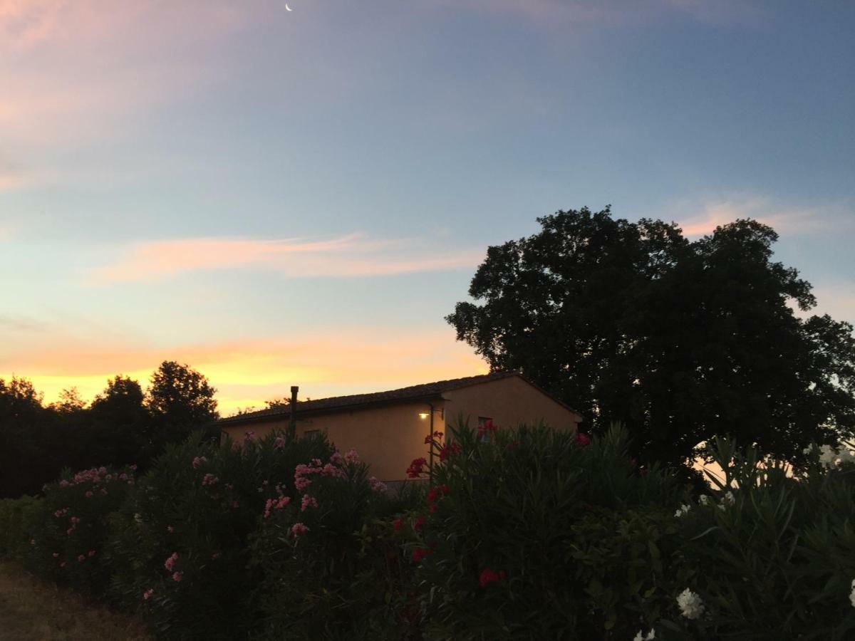 Agriturismo Pieve De Pitti Terricciola Eksteriør bilde