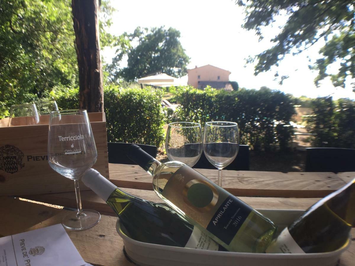 Agriturismo Pieve De Pitti Terricciola Eksteriør bilde