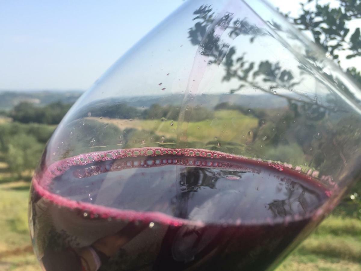 Agriturismo Pieve De Pitti Terricciola Eksteriør bilde