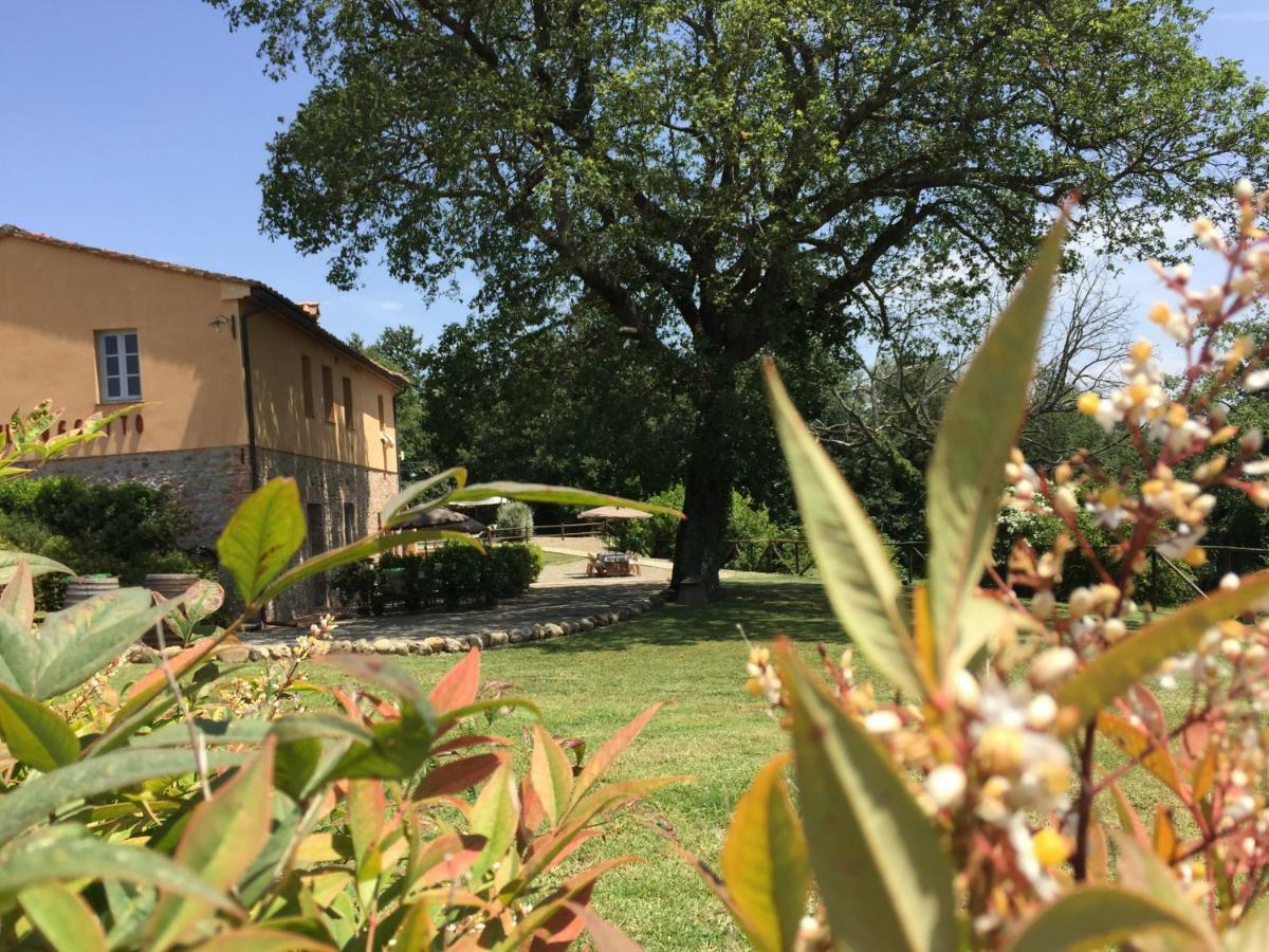 Agriturismo Pieve De Pitti Terricciola Eksteriør bilde