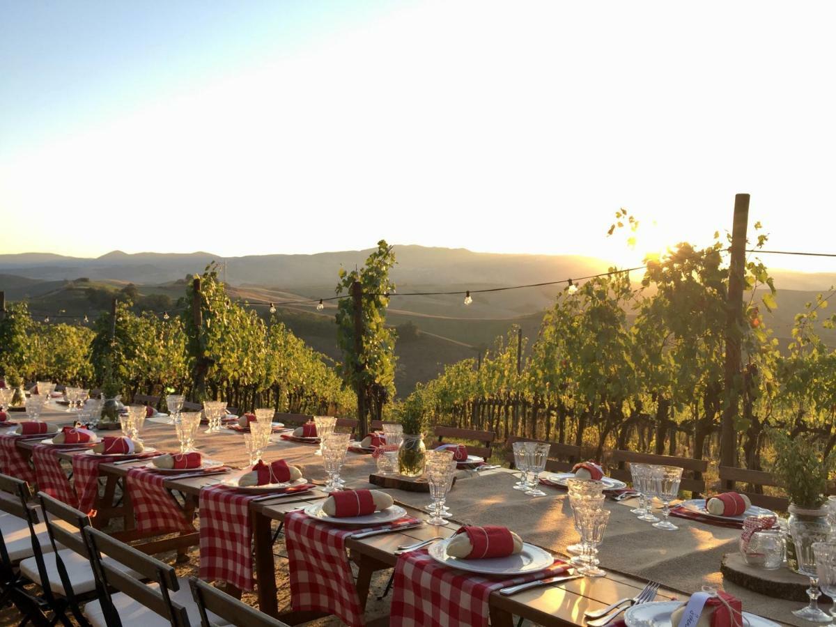 Agriturismo Pieve De Pitti Terricciola Eksteriør bilde