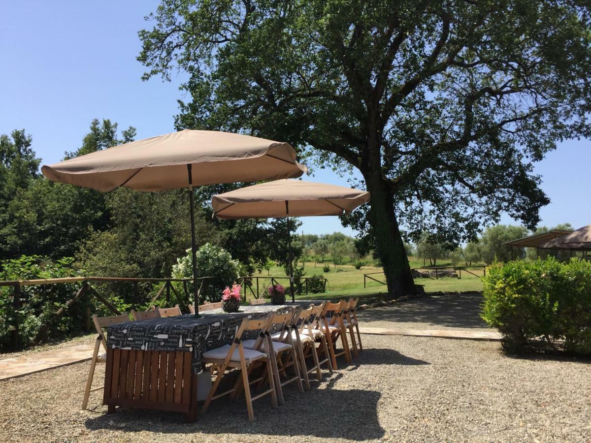 Agriturismo Pieve De Pitti Terricciola Eksteriør bilde