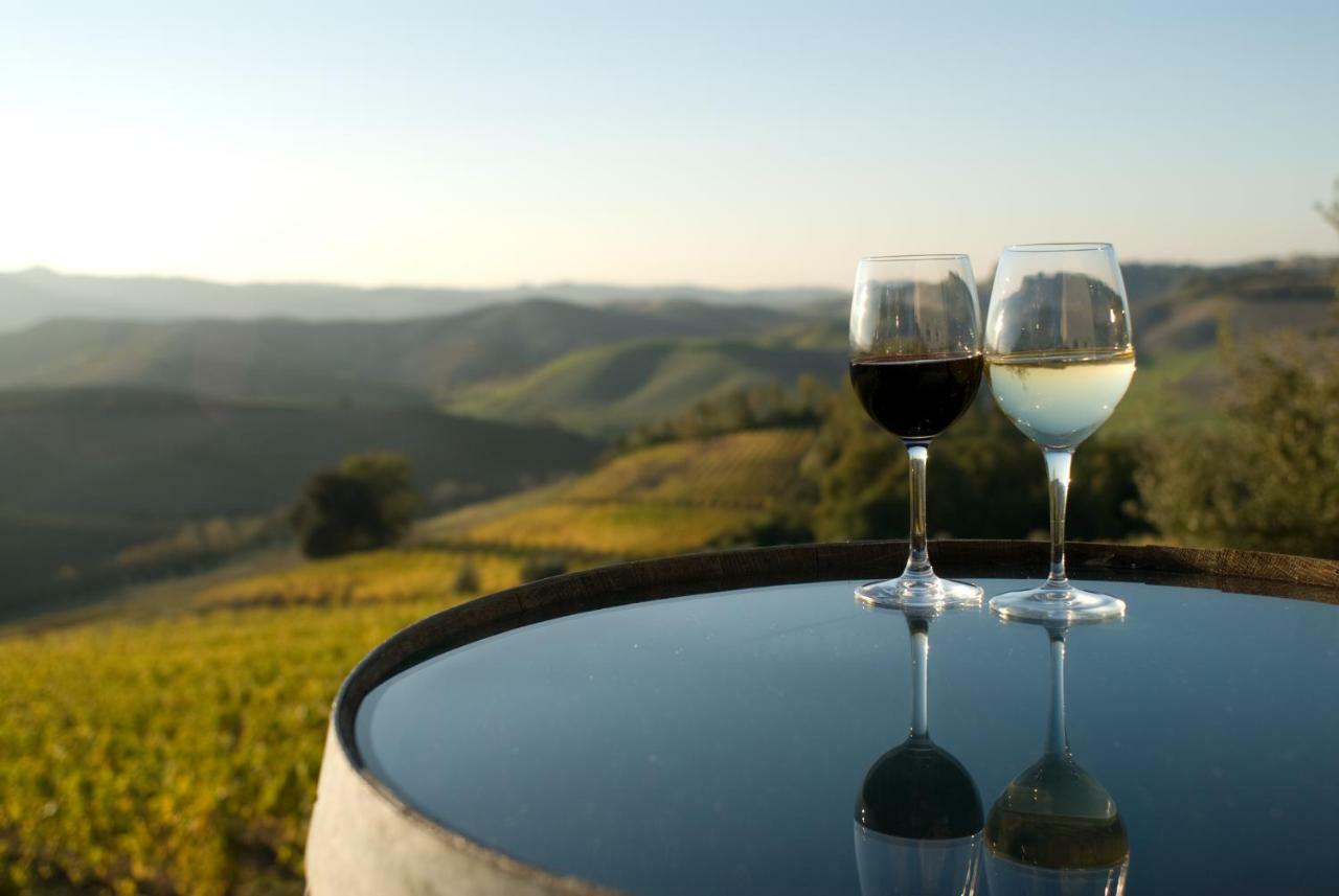 Agriturismo Pieve De Pitti Terricciola Eksteriør bilde