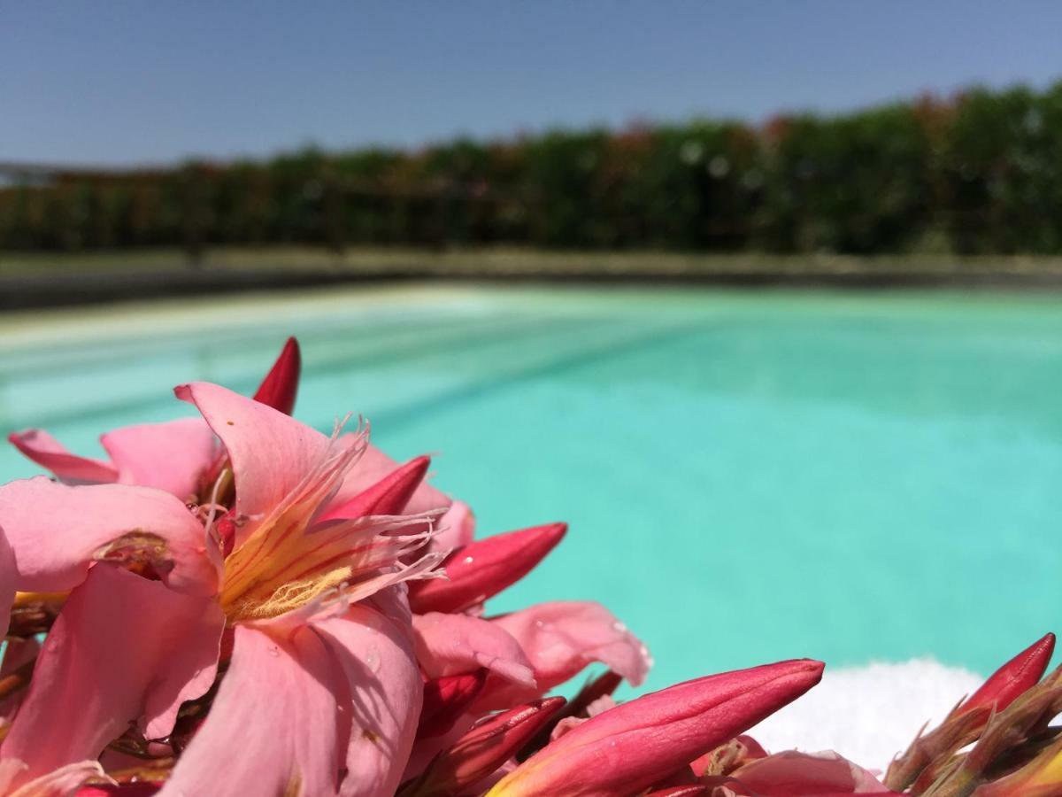 Agriturismo Pieve De Pitti Terricciola Eksteriør bilde