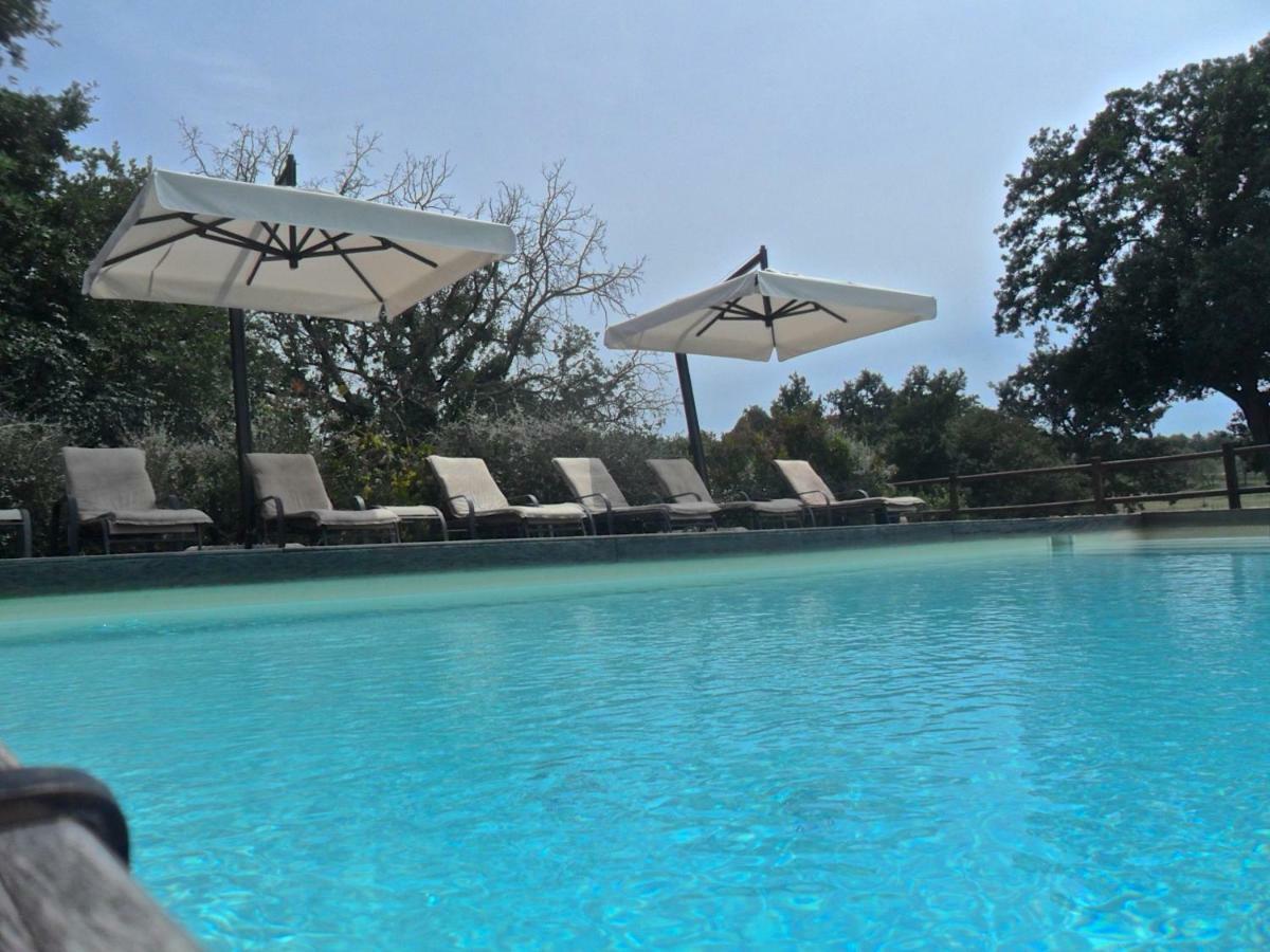 Agriturismo Pieve De Pitti Terricciola Eksteriør bilde