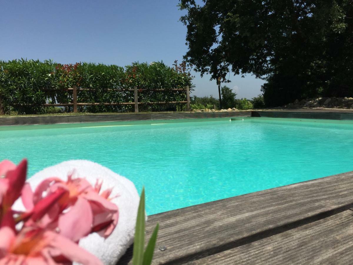 Agriturismo Pieve De Pitti Terricciola Eksteriør bilde